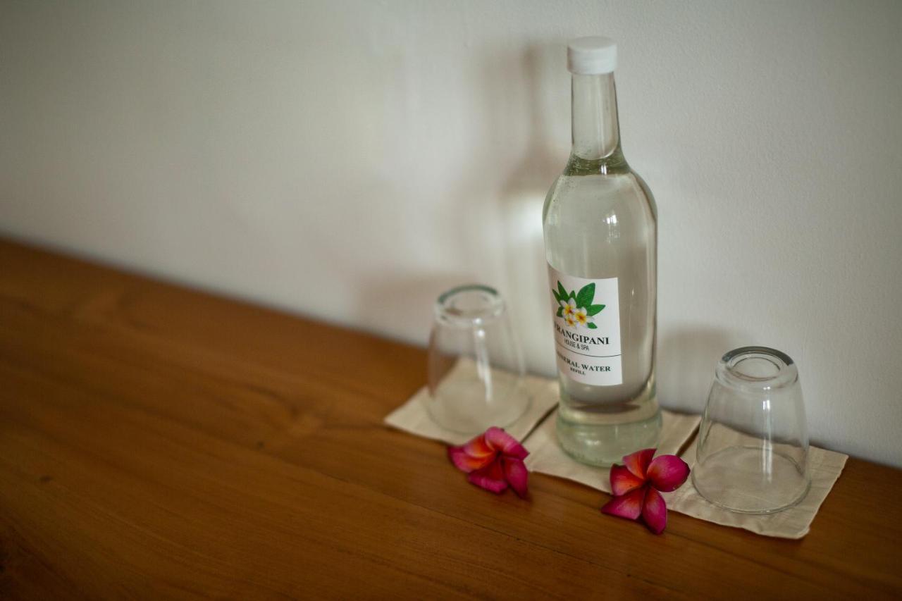 Frangipani House And Spa By Ecommerceloka Canggu  Exterior photo